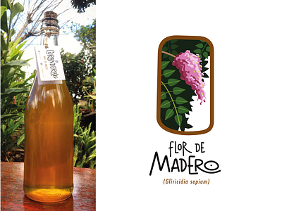 La Curandera: Flor de Madero