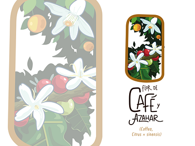 La Curander: Flor de Café y Azahar art blossom branding café coffee colors design flower honey honeybee illustration logo native nature nature art nicaragua orange plant typography vector