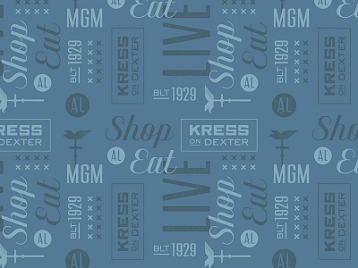 Kress on Dexter Pattern Play branding multi use developement pattern