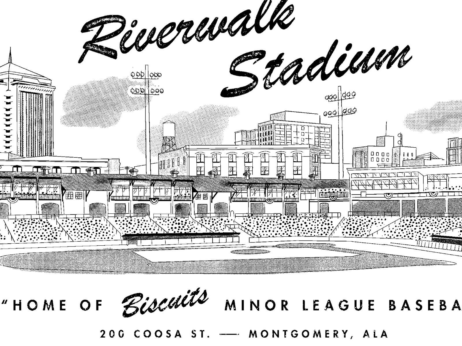 Biscuits Minor League Baseball Tee by Courtnie Johnson on Dribbble