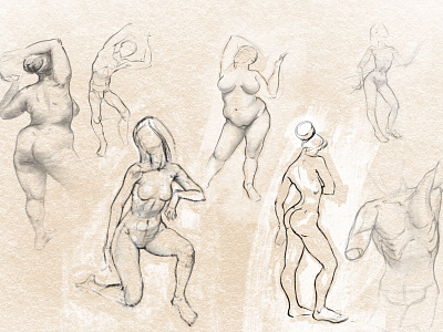 Anatomy studies graphic design illustration