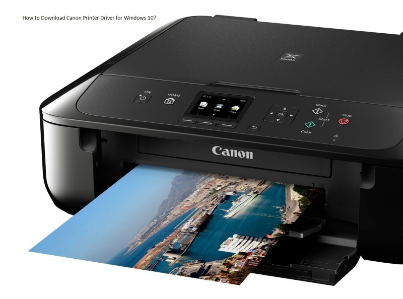 How to Download Canon Printer Driver for Windows 10? by Alvin Anderson