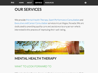 Person-Holistic Innovations html css web