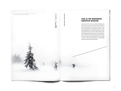 DTRL magazine/editorial design #3