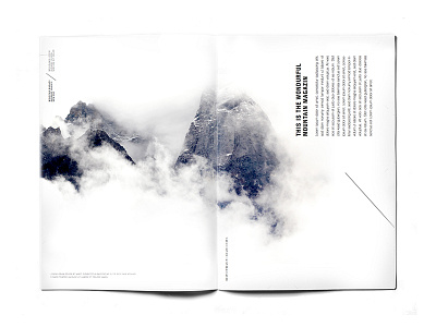 DTRL magazine/editorial design #2 editorial forest layout magazine mockup