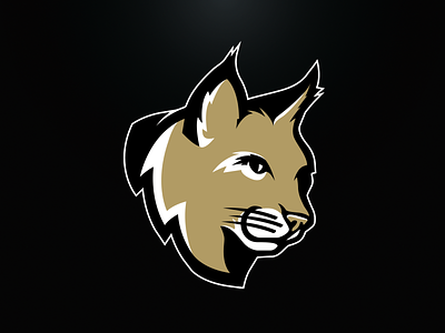 Bobcats Mascot bobcat branding college design gold logo sports team vector wildcat