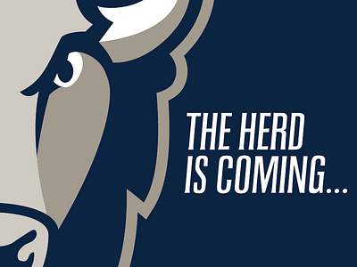 The Herd Is Coming... branding herd logo sports wip