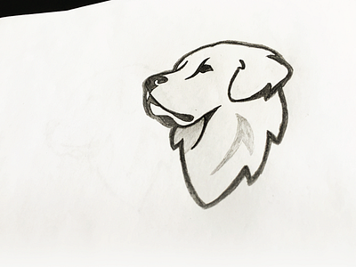 Goldens Sketch branding dog golden process sports