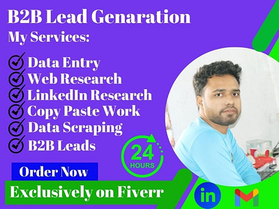 B2B Lead Generation Expert b2b lead data collection data entry web research