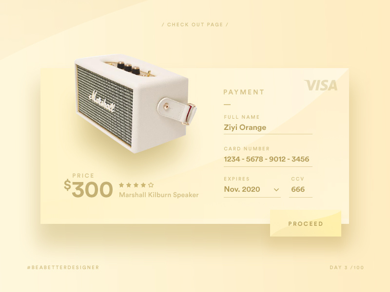 Check Out Page dailyui visa payment checkout marshall