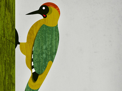 Wooden Woodpecker bird grain illustration texture vector wood woodpecker