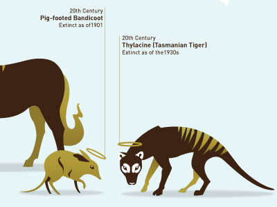 God's Zoo illustration infographic timeline