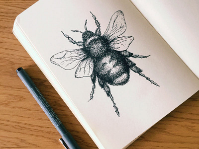Busy Bee bee doodle fineliner illustration nature sketch