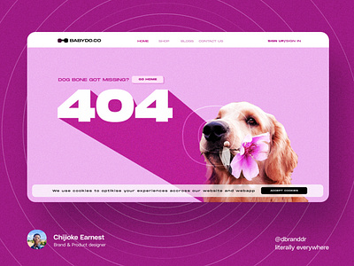 404 Error Page - Web UI