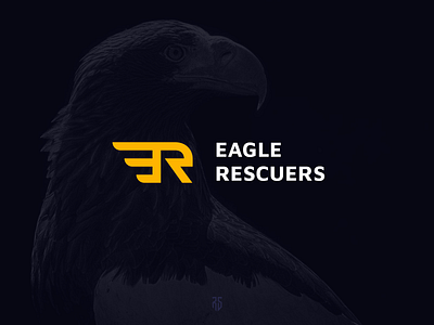 Eagle Rescuers - Logo Design brand brand identity branding clean concept design designer icon identity illustration logo logodesign minimal vector visual design