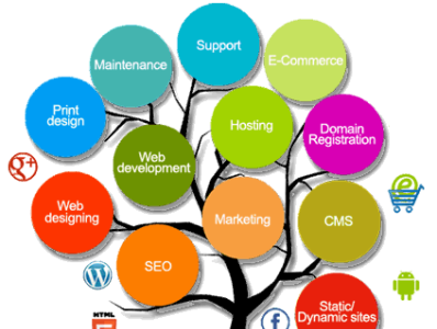 Are You Looking for a Good Website Design & Digital Marketing? design development logo website
