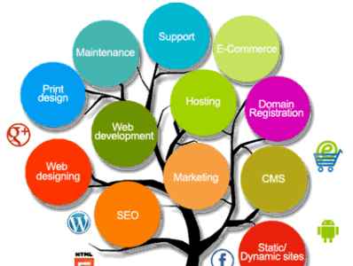 Are You Looking for a Good Website Design & Digital Marketing?