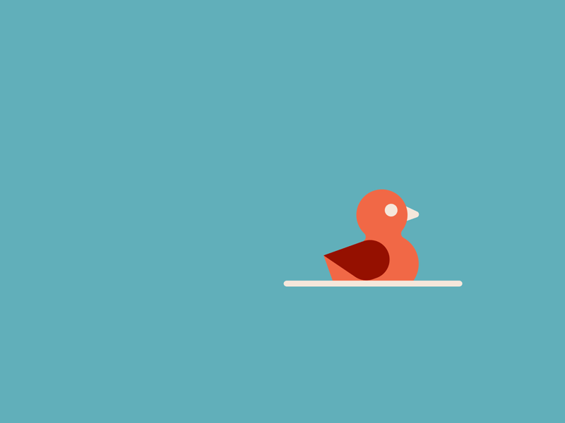 Duck animated gif animation duck flat illustration loop motion design motion graphics rubber duck water