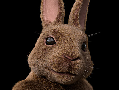 Bunny face 3d bunny character design digital face fur grooming hair rabbit realistic render redshift