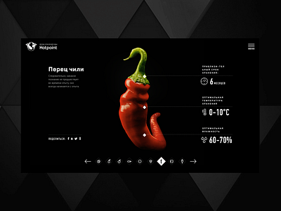 Hotpoint Save Food Foundation black and white figure icon infographic infographic design infographics layout number typography ui ui ux web web design web ui website website design