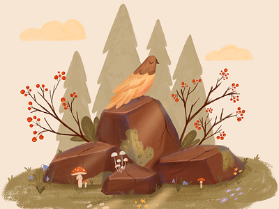 Bird and mossy rocks book illustration editorial illustration flora illustration illustration illustrator