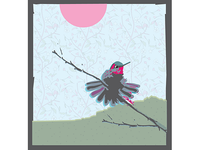 hummingbird digital art digital illustration illustration
