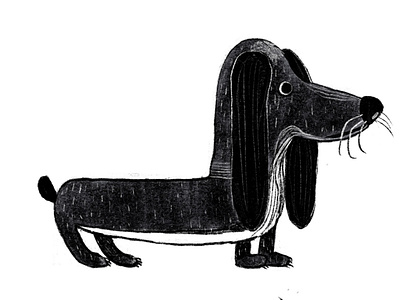 the dog drawing illustration