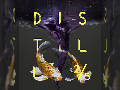 Distill Poster astronomy blog blog post conceptual fish funnel perception perception branding pisces poster poster series typography
