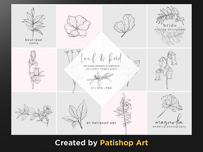 Hand-Drawn Botanical Logos & Elements design graphic design illustration logo logo tamplate