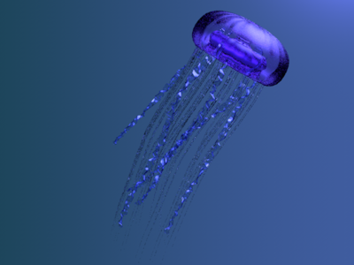 jellyfish