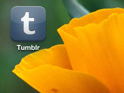 Tumblr for iPhone icon