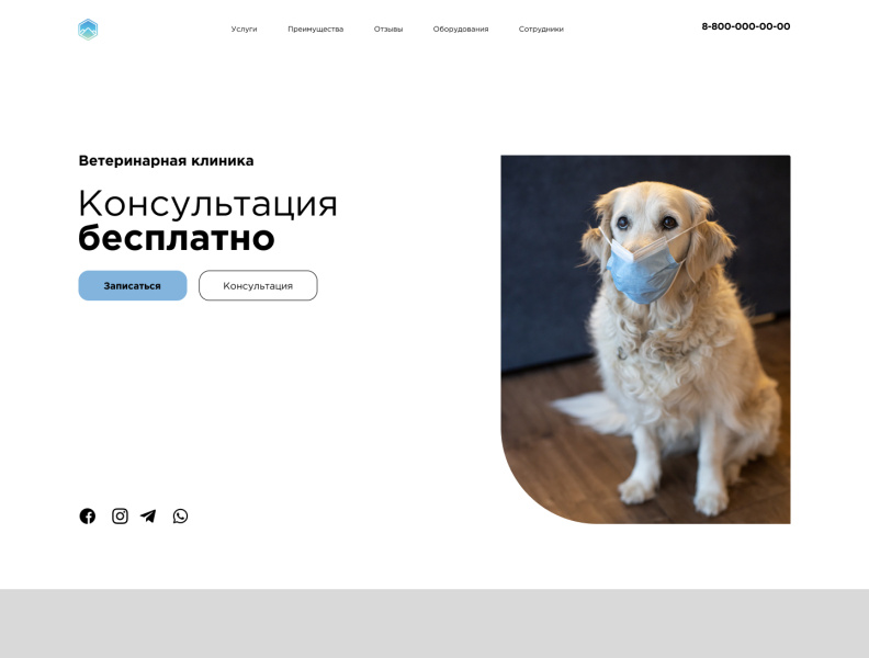 Veterinary clinic/Ветеринарная клиника by Никита Бражников on Dribbble