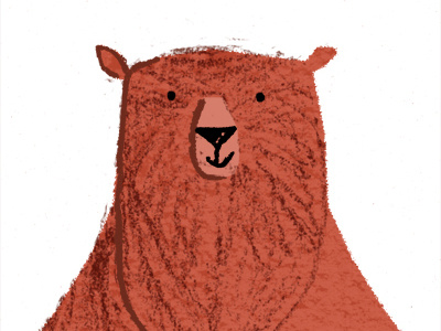 Bear bear grizzly illustration kids texture