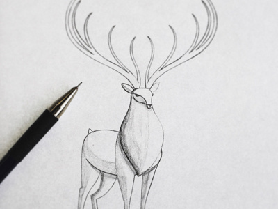Stag Sketch animals antlers deer forest pencil stag