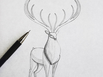 Stag Sketch