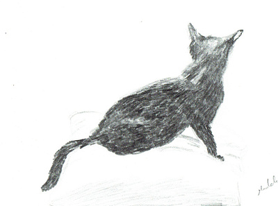 Cat sketch 2002 illustration pencil shade sketch