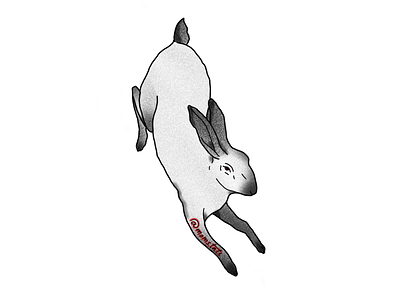 Rabbit graphic design illustration