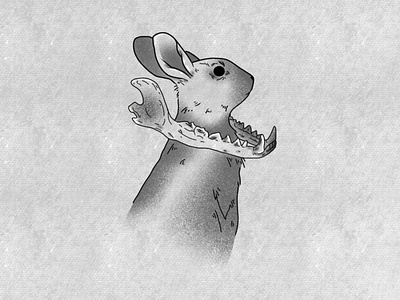 Rabbit design graphic design illustration