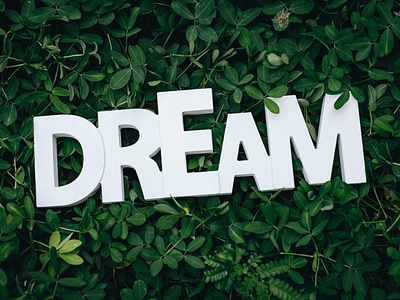 DREAM Text Logo With Grass Logo mockup effect