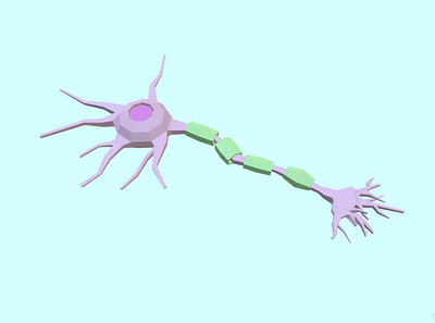 Low-poly Neuron 3dmodel lowpoly maya neuron