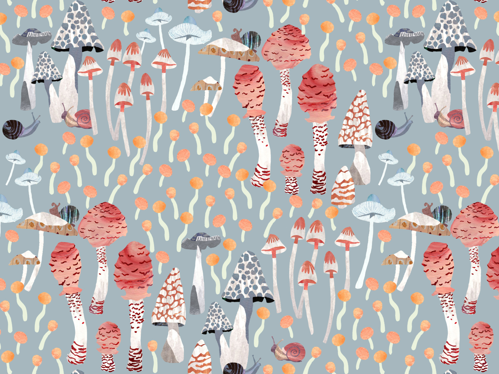 Mushrooms and snails by Erin on Dribbble