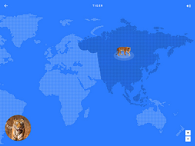 A - Z Animals App Concept: Tiger animal app colour concept illustration map mobile tablet tiger ui