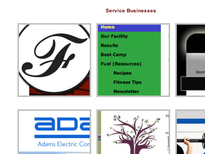 Portfolio - Service Businesses Page css html web design