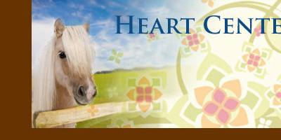That new pony smell banner equine therapy header horses image manipulation photoshop pony