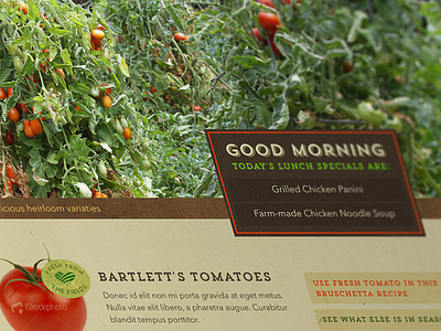 Bartlett's Farm earthy farm tomatoes