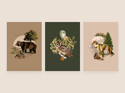 Forest animals - Digital Collage animal collage collageart collagevisual design forest housedesign illustration kolaż kolażcyfrowy plakat poland poster wall