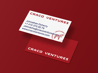 VC Firm business cards brand identity branding business card donkey illustration logo