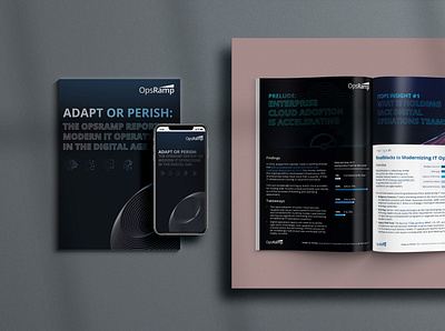 Report - Modern IT Operations in the Digital Age cover design design graphic design illustration line art minimal report