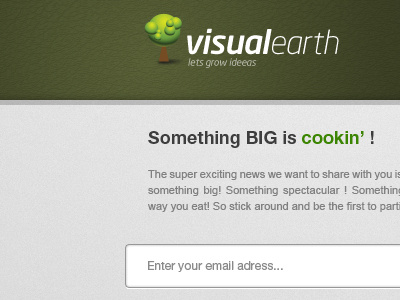 Landing Page Visualearth