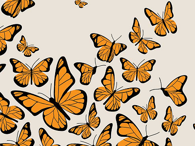 Monarch Butterflies butterfly